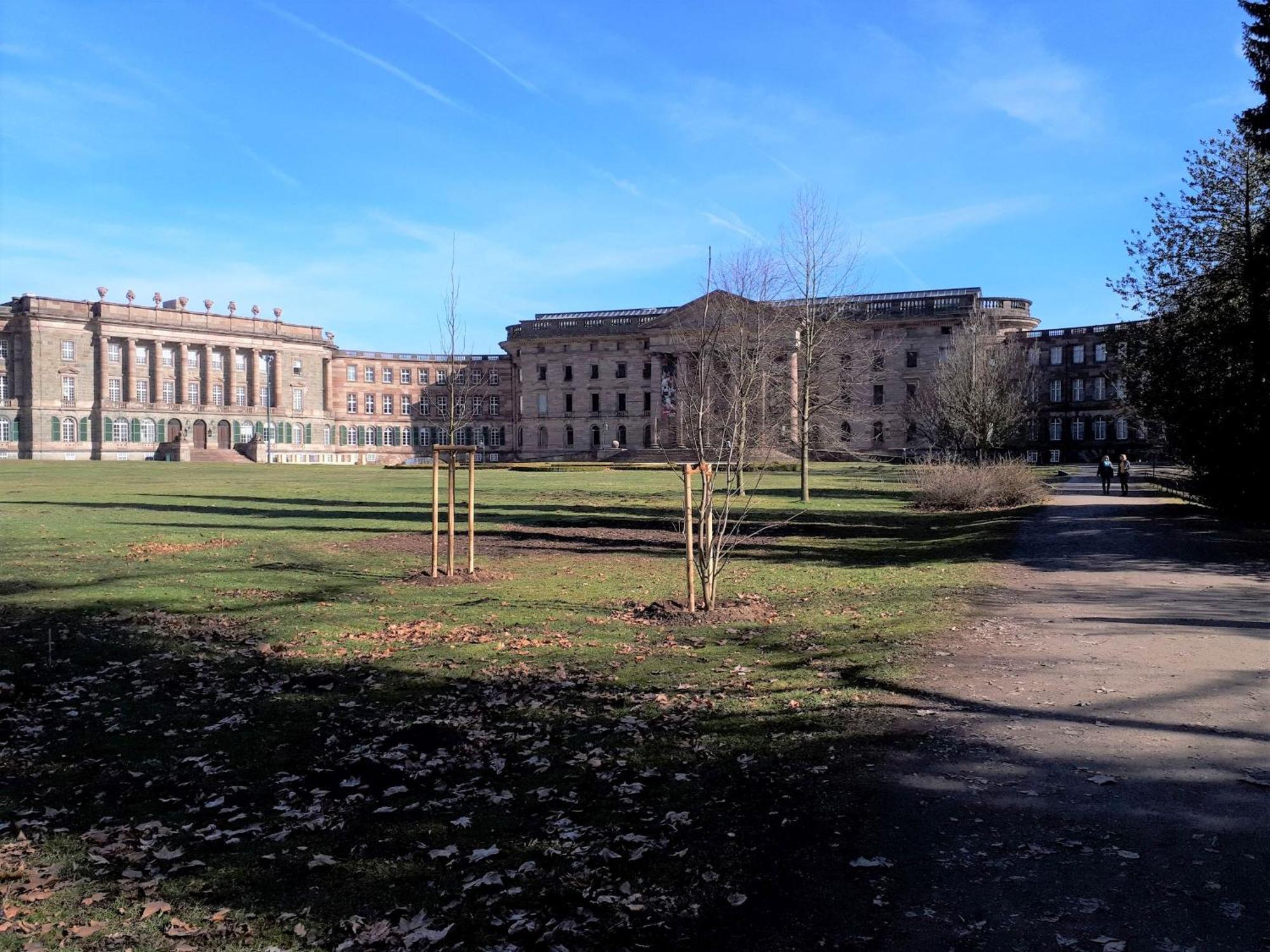 Apartment Hugo37 Am Bergpark Kassel Eksteriør bilde
